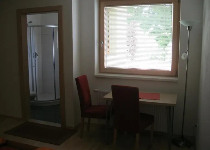 莱内尔公寓 因斯布鲁克